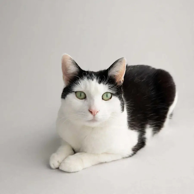 Photo of Winnie