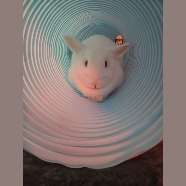 Photo of Bertha