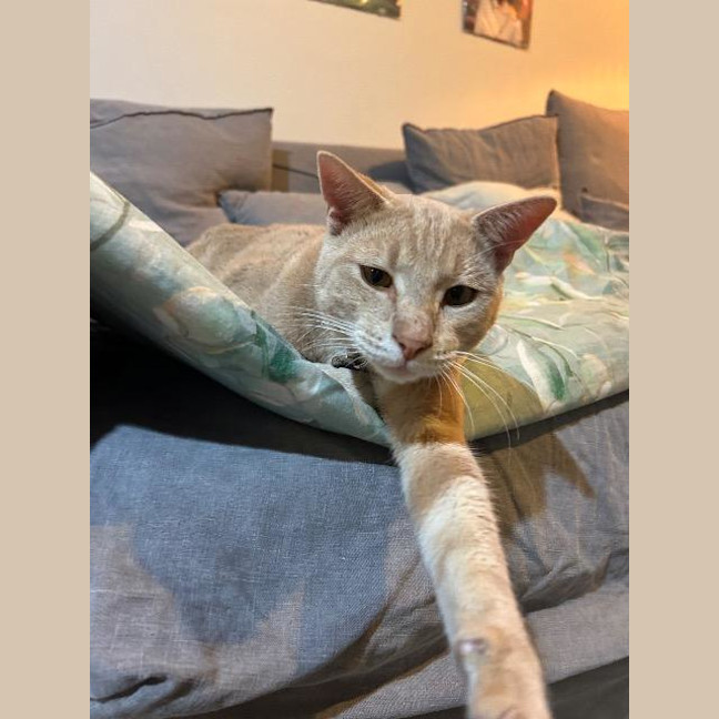 Photo of Eddie