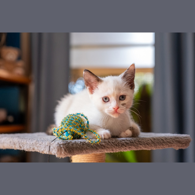 Photo of Charlie