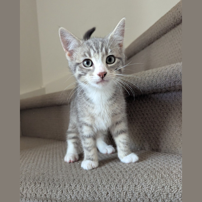 Photo of Isabella Scotty