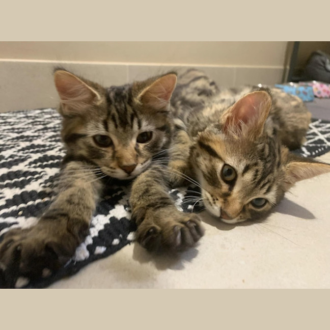 Photo of Marty & Max 