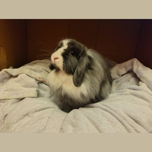 Photo of Richelle