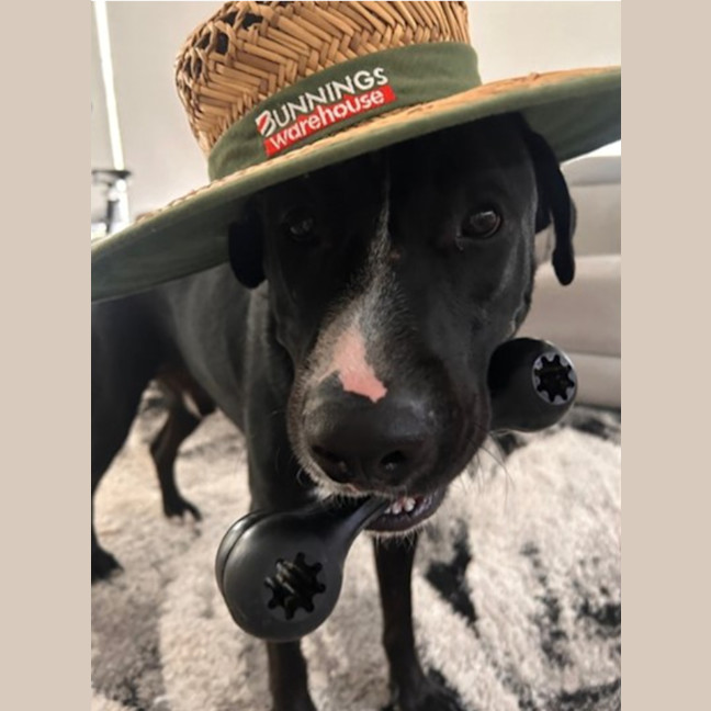 Photo of Bentley