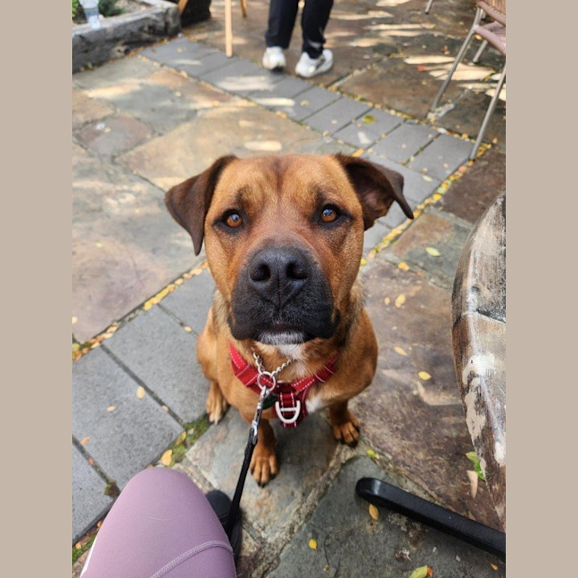 Photo of Skye Peggotty