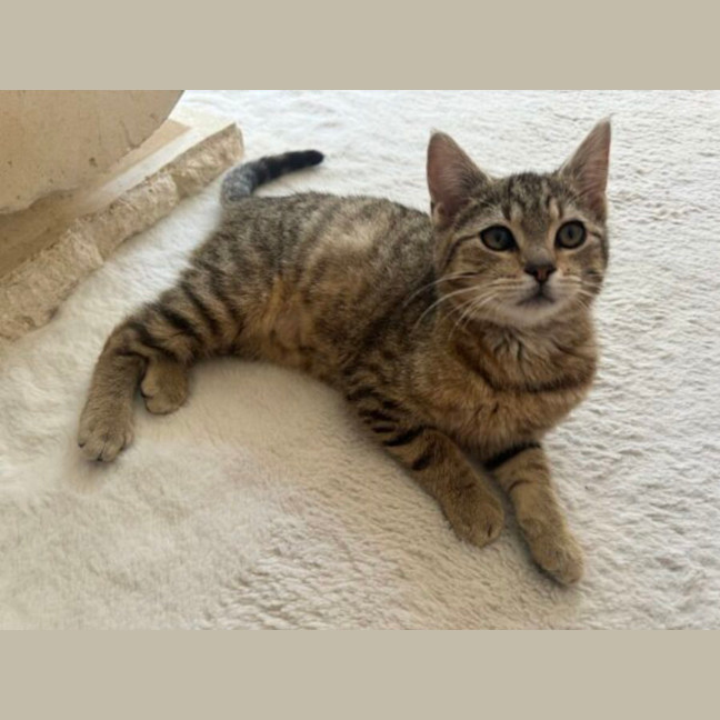 Photo of Malak And Ishmael