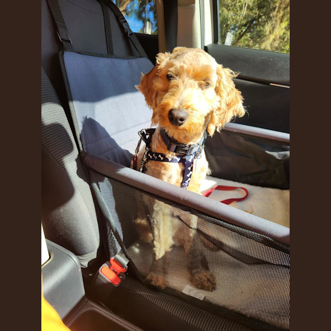 Photo of Jenson