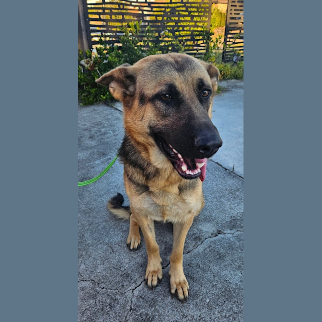 Photo of Shilo