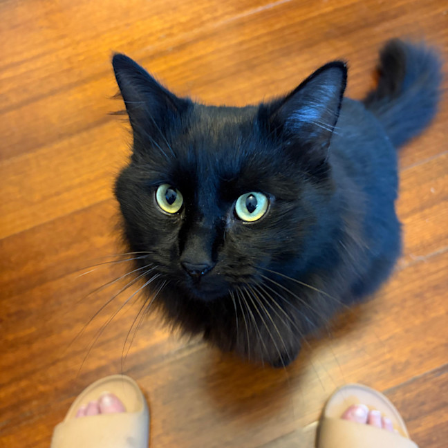 Photo of Gilbert