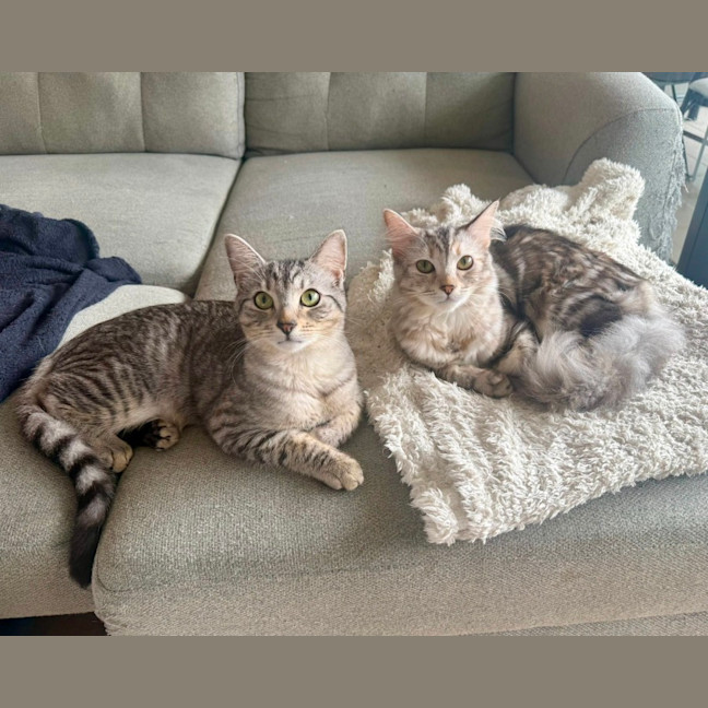 Photo of Luna And Pepper