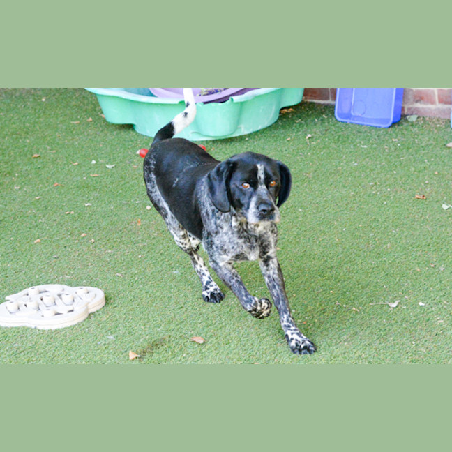 Photo of Ozzie