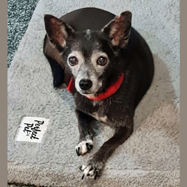 Photo of Minnie