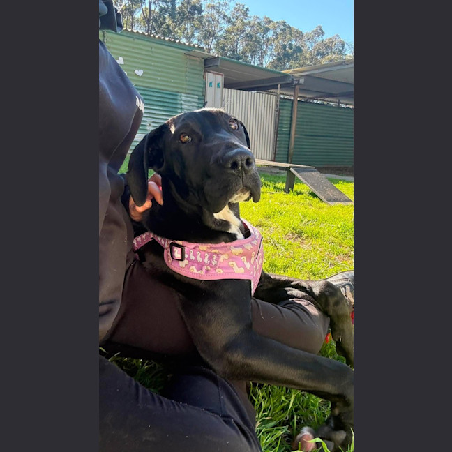 Photo of Zephyr