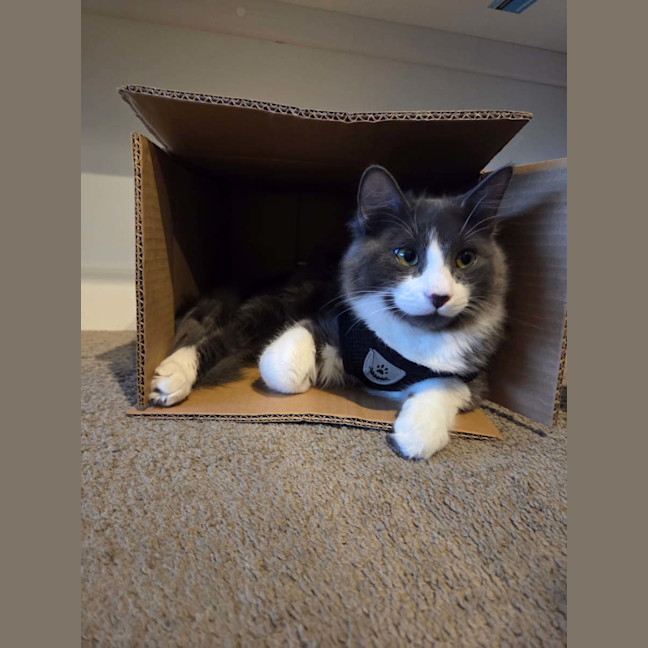 Photo of Yuki