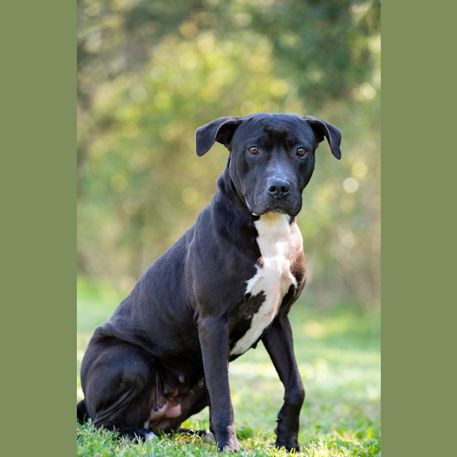 Photo of Roxy