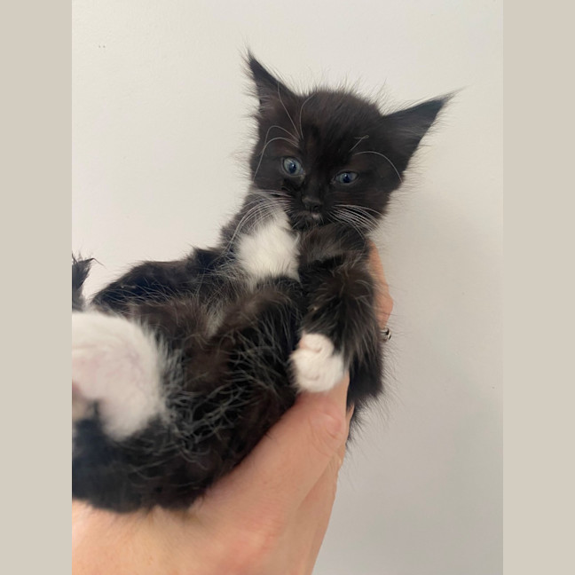 Photo of C1398 Greta