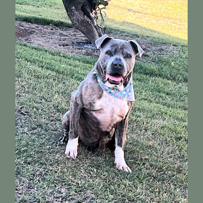 Photo of Kevin (Trevor)