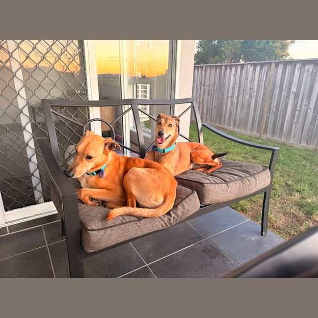 Photo of Snickers & Caramel