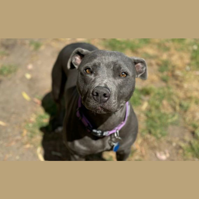 Photo of Annabee