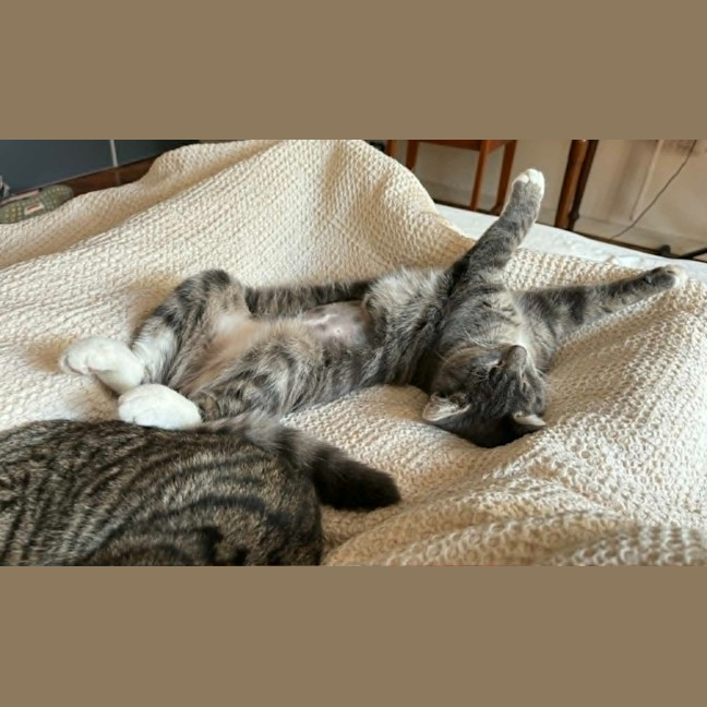Photo of Winifred