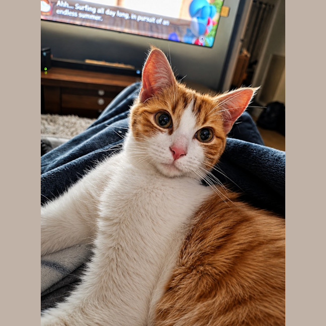 Photo of George