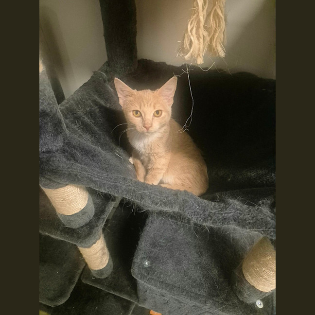 Photo of Ruby