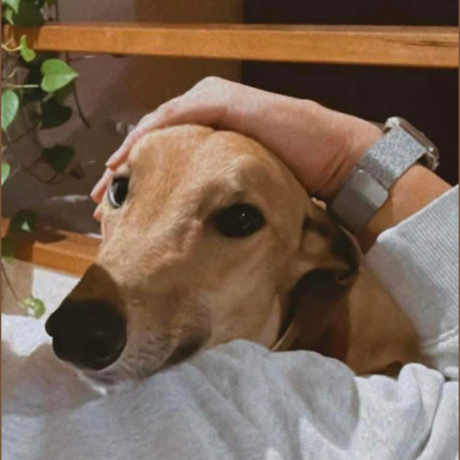 Photo of Hollandaise Sauce