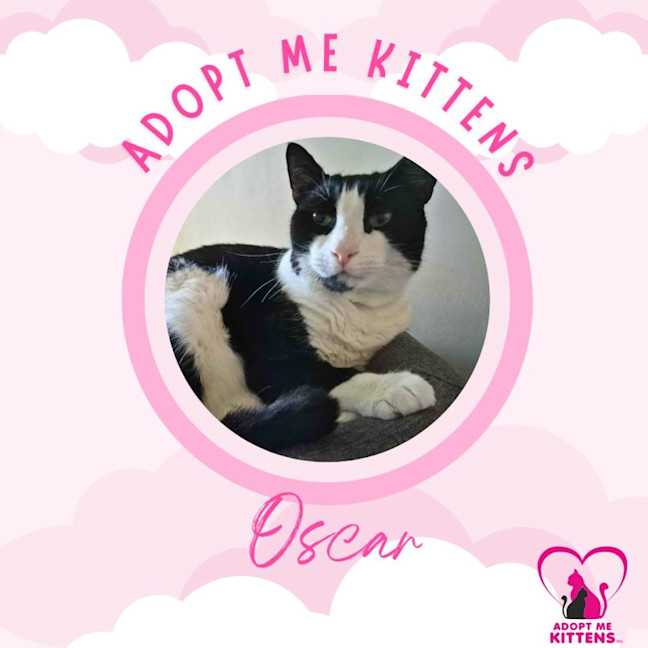 Photo of Oscar