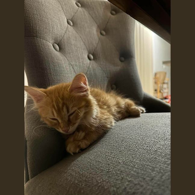 Photo of Cheetos