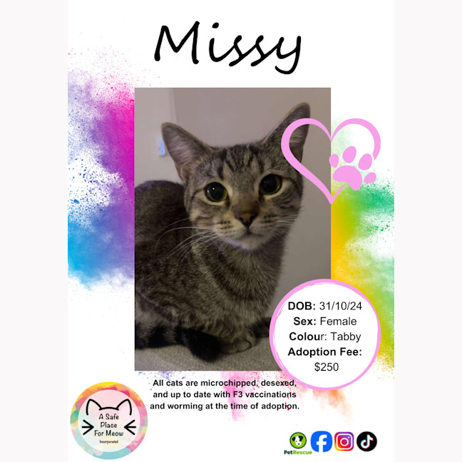 Photo of Missy