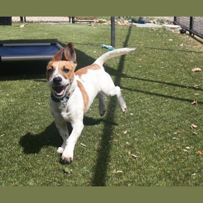 Photo of Bosley