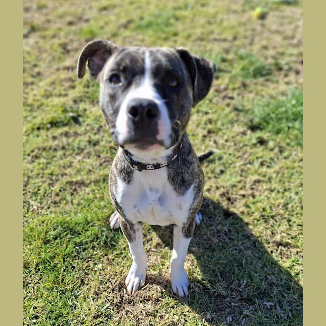 Photo of Cenric Riley