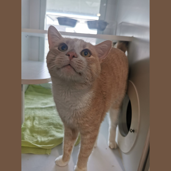 Photo of Leo