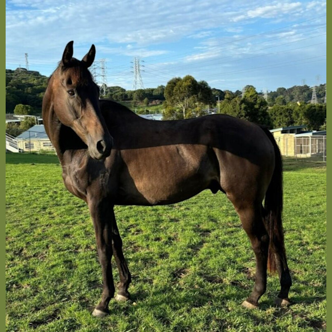Photo of Gatsby