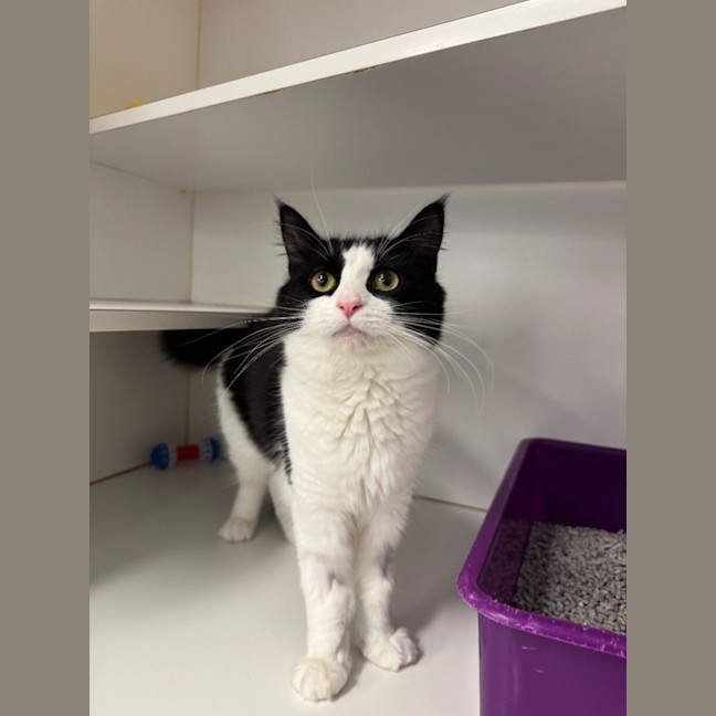 Photo of Elsie & Tommy