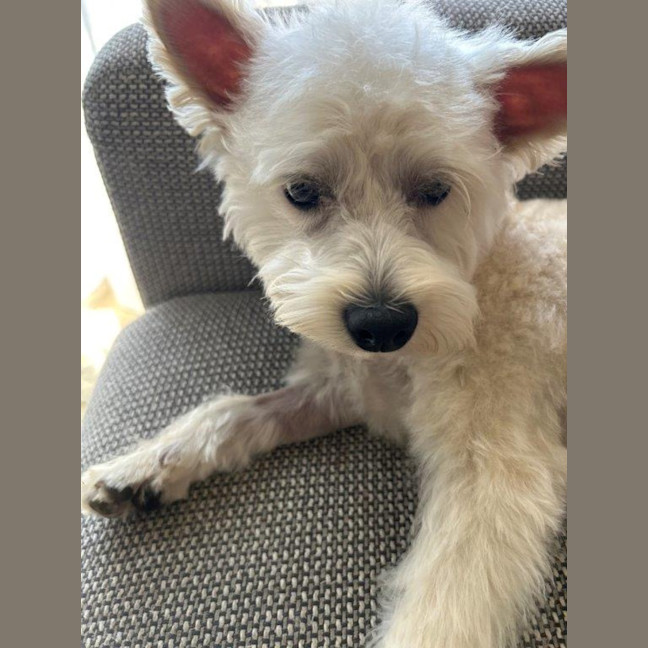 Photo of Lily Peggotty