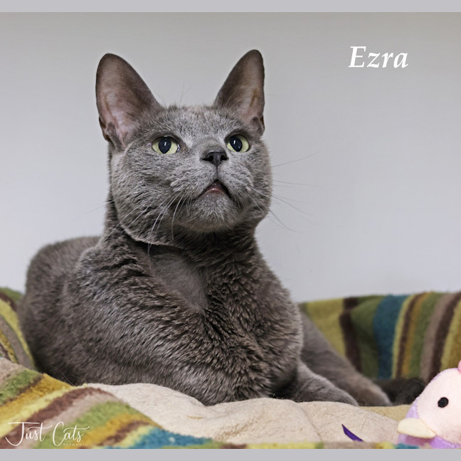 Photo of Ezra