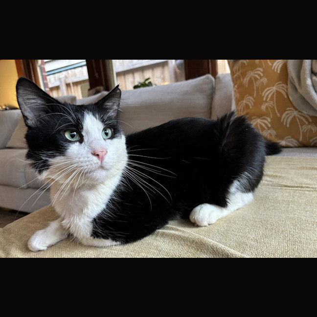 Photo of Hugo