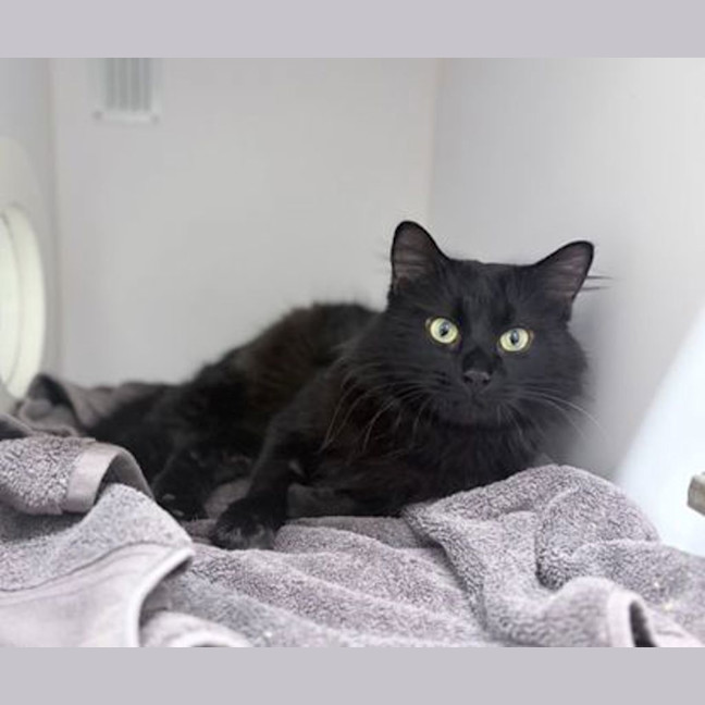 Photo of Finn