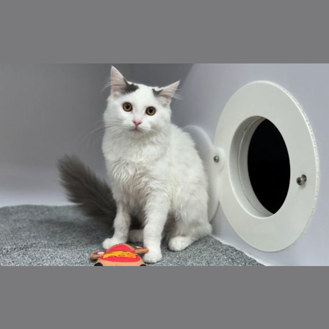Photo of Kiki