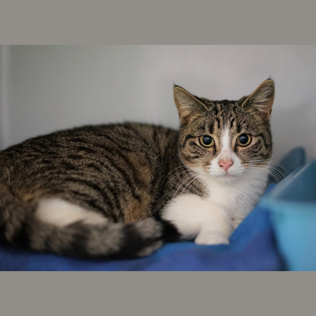 Photo of Poppi