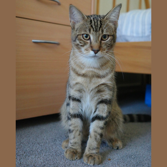 Photo of Kobe