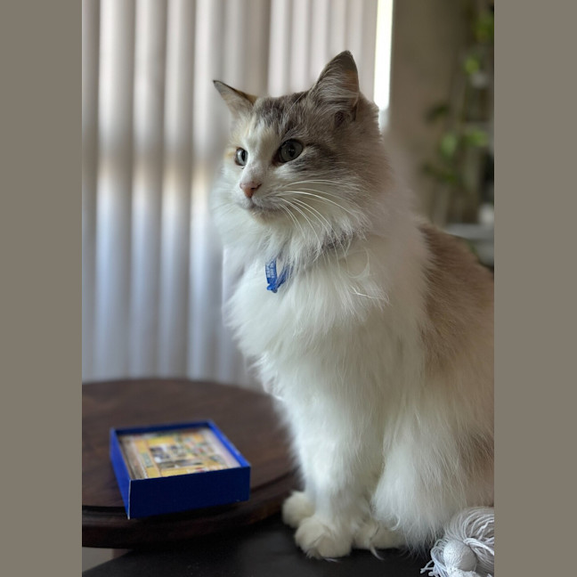 Photo of Mila