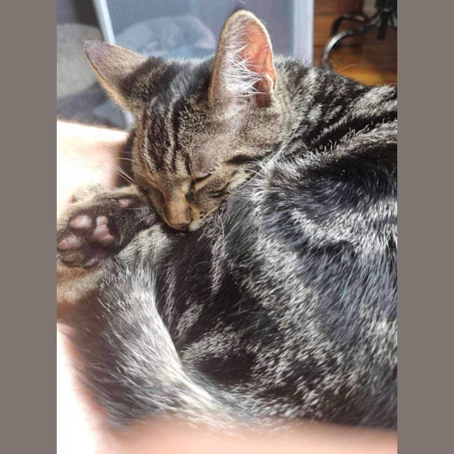 Photo of Velcro And Blu Tac