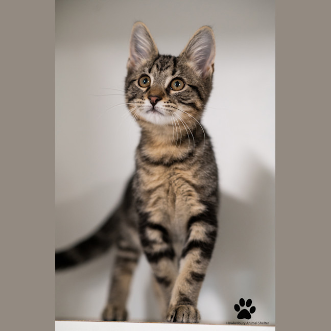 Photo of Tom