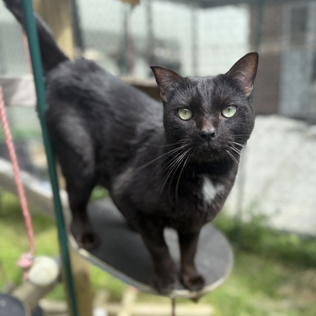 Photo of Little Buddy