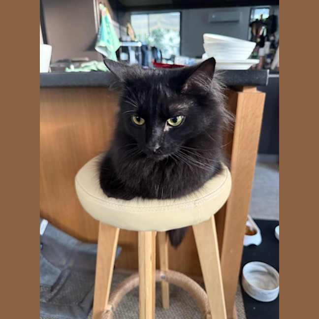 Photo of Sebastian