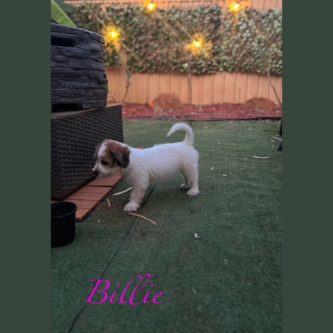 Photo of Billie