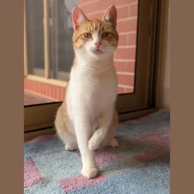 Photo of Charlie 