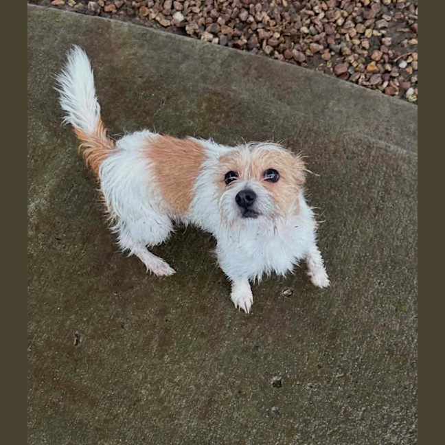 Photo of Niko